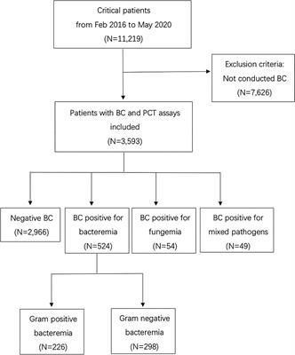 Mining of a Clinical Database: The Interpretation of Intense Serial Procalcitonin in the Prediction for Bloodstream Infection